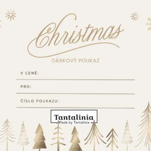 Vánoční dárkový poukaz #1